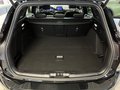 Daumennagel 10 - Ford Focus Turnier ST-Line X