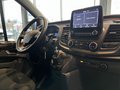 Daumennagel 13 - Ford Transit Custom Kombi 320 L1 Trend