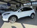 Daumennagel 2 - Ford Kuga Cool&Connect + Winter Paket