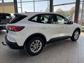 Daumennagel 6 - Ford Kuga Cool&Connect + Winter Paket