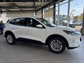 Daumennagel 7 - Ford Kuga Cool&Connect + Winter Paket