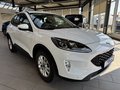 Daumennagel 8 - Ford Kuga Cool&Connect + Winter Paket