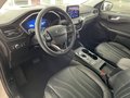 Daumennagel 7 - Ford Kuga Plug-In Hybrid Vignale + Pano + HUD + ACC