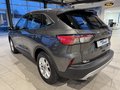 Daumennagel 4 - Ford Kuga Plug-In Hybrid Titanium