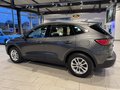Daumennagel 3 - Ford Kuga Plug-In Hybrid Titanium