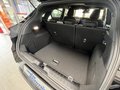 Daumennagel 10 - Ford Puma ST-Line