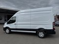 Daumennagel 3 - Ford Transit Kasten 350 L3H3 Trend ACC + 360 Grad