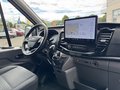 Daumennagel 10 - Ford Transit Kasten 350 L3H3 Trend ACC + 360 Grad