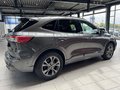 Daumennagel 5 - Ford Kuga PHEV ST-Line + Pano + Kameras + iAcc