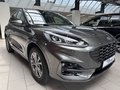 Daumennagel 6 - Ford Kuga PHEV ST-Line + Pano + Kameras + iAcc