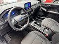 Daumennagel 7 - Ford Kuga PHEV ST-Line + Pano + Kameras + iAcc
