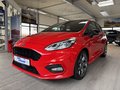 Daumennagel 1 - Ford Fiesta ST-Line + Winterpaket + abnehmb. AHK