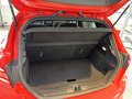Daumennagel 15 - Ford Fiesta ST-Line + Winterpaket + abnehmb. AHK