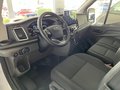 Daumennagel 7 - Ford Transit Kasten 350 L3 H3 Trend 360° Kamera + ACC