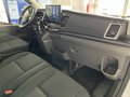 Daumennagel 9 - Ford Transit Kasten 350 L3 H3 Trend 360° Kamera + ACC