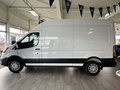 Daumennagel 6 - Ford Transit Kasten 350 L3 H3 Trend 360° Kamera + ACC