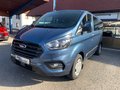Daumennagel 1 - Ford Transit Custom Kombi 320 L2 Trend