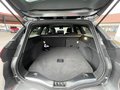 Daumennagel 6 - Ford Mondeo Turnier ST-Line + Business-Paket 3 + AHK