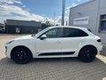 Daumennagel 7 - Porsche Macan GTS 21" ACC Pano AHK Luftf LED+ SpAGA BOSE