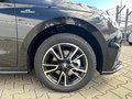 Daumennagel 16 - Skoda Fabia 1.0 TSI Automatik Monte Carlo SHZ/LM/LED