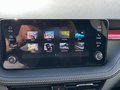 Daumennagel 8 - Skoda Fabia 1.0 TSI Automatik Monte Carlo SHZ/LM/LED