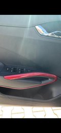 Daumennagel 15 - Skoda Fabia 1.0 TSI Automatik Monte Carlo SHZ/LM/LED