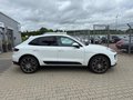 Daumennagel 2 - Porsche Macan S Diesel Sportabgasanl./Pano/Leder