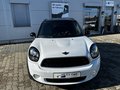 Daumennagel 2 - MINI Countryman Cooper D Autom. Pano/Leder/Navi/Chili