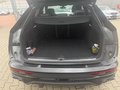 Daumennagel 24 - Audi SQ5 Sportback 3.0 TDI  quattro S-Line