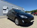 Daumennagel 1 - Ford Fiesta 1.0 Titanium Navi/LM/PDC