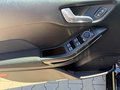 Daumennagel 19 - Ford Fiesta 1.0 Titanium Navi/LM/PDC