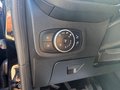 Daumennagel 22 - Ford Fiesta 1.0 Titanium Navi/LM/PDC