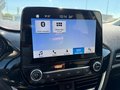 Daumennagel 10 - Ford Fiesta 1.0 Titanium Navi/LM/PDC