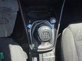 Daumennagel 23 - Ford Fiesta 1.0 Titanium Navi/LM/PDC