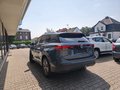 Daumennagel 5 - Volkswagen Tiguan 1.5eTSI 110kW Goal PANO,AHK,NAV,360 °KAM