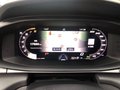 Daumennagel 16 - CUPRA Terramar 2.0TSI 4Drive VZ,DCC,AHK,PANO,KAM,NAV