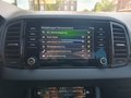 Daumennagel 19 - Skoda Karoq Sportline PANO,Keyless,AHK,KAM,DCC,NAVI