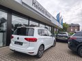 Daumennagel 6 - Volkswagen Touran Highline AHK,NAV,WR,KAM,ACC