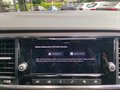 Daumennagel 17 - SEAT Ateca Xperience PANO,Full Link,KAM,GJR,AHK,KESSY