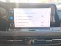 Daumennagel 15 - Volkswagen Golf Variant VIII R-Line IQ,NAV,AHK,PANO