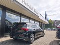Daumennagel 7 - Volkswagen Golf 8.5 1.5 eTSI 85 kW Goal,ACC,KAM,KLIMA