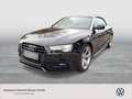 Daumennagel 1 - Audi A5 Cabriolet 2.0 TDI quattro,S-Line,GJR,AHK,NAVI
