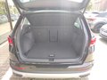 Daumennagel 8 - SEAT Ateca Xperience PANO,Full Link,KAM,GJR,AHK,KESSY