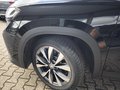 Daumennagel 3 - Skoda Kodiaq 1.5 TSI Selection PANO,AHK,KAM,7-Sitzer