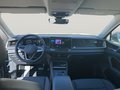 Daumennagel 15 - Volkswagen Tayron 1.5 eTSI 110 kW Life KAM,WR,AHK,4 J.Gar.