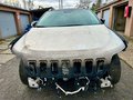 Daumennagel 3 - Jeep Cherokee 2.0l T-GDI Active Drive I Limited AT