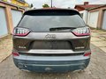 Daumennagel 14 - Jeep Cherokee 2.0l T-GDI Active Drive I Limited AT