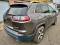 Daumennagel 15 - Jeep Cherokee 2.0l T-GDI Active Drive I Limited AT
