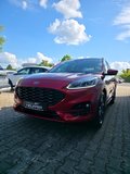 Daumennagel 4 - Ford Kuga Plug-In Hybrid ST-Line X/ST-Styling-Paket/LED