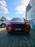 Daumennagel 3 - Ford Kuga Plug-In Hybrid ST-Line X/ST-Styling-Paket/LED